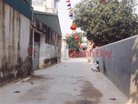 Residential land for sale, red book by owner, Khanh Ha commune, Thuong Tin district. _0