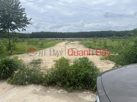 Plot of land for sale, good location, favorable price, in Phuoc Vinh town _0