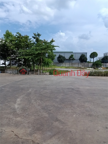 Selling 2.2ha of land for warehouse and factory for 50 years at road 5, Binh Giang District, Hai Duong Province Vietnam | Sales, đ 400 Million