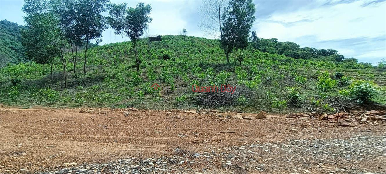 đ 2.7 Billion | BEAUTIFUL LAND - GOOD PRICE - Need to sell a plot of land for growing perennial trees in Nam Ninh Commune - Cat Tien District - Lam Dong