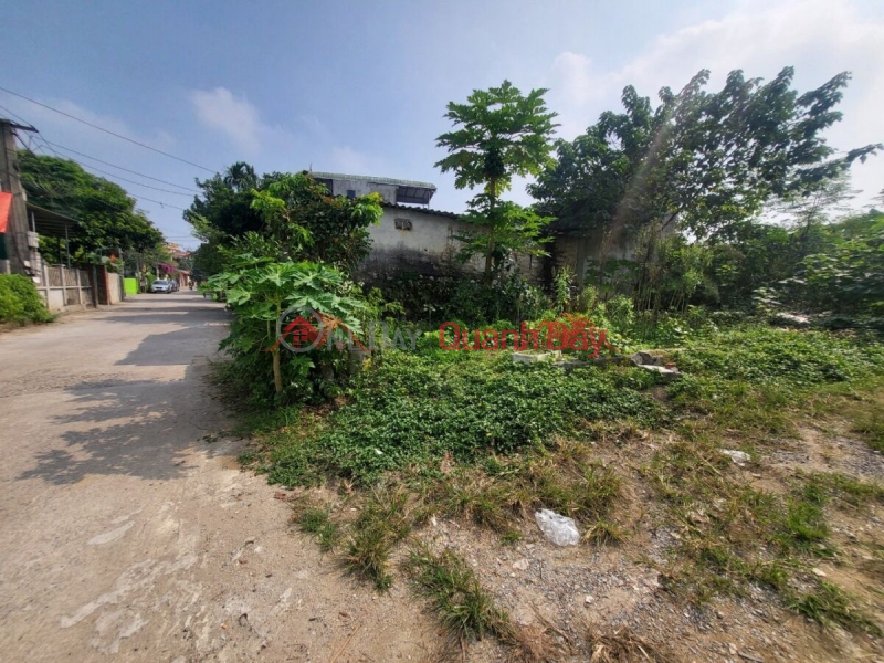 HÀNG HIẾM 99M TẠI THỦY XUÂN TIÊN-CHƯƠNG MỸ-HÀ NỘI Việt Nam Bán đ 10 triệu