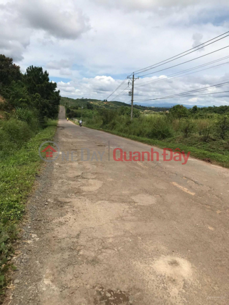 Land for sale, 2 frontages on National Highway 28B, Duc Trong, Lam Dong, 10 x 50m, (200)m2 TC, price 3.8 billion Sales Listings