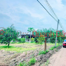 Durian garden for sale in Minh Thanh town, Chon Thanh town, cheap price _0