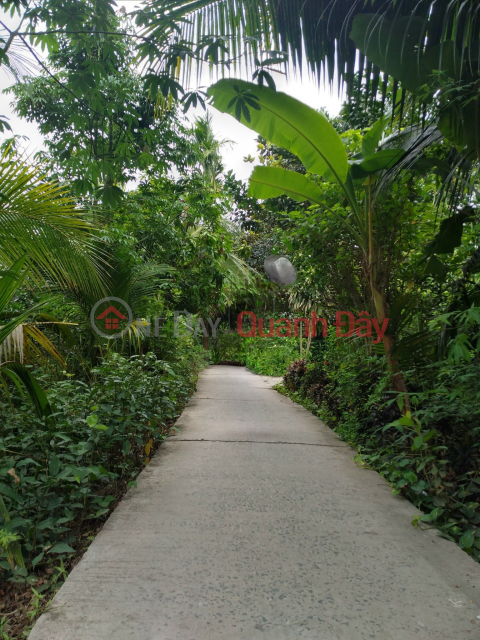 OWNER FAST SELLING BEAUTIFUL LOT OF LAND - GOOD PRICE IN My Hoa commune, Binh Minh, Vinh Long _0