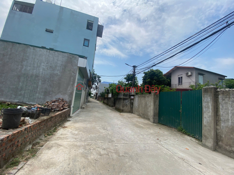 LAND FOR SALE 66.5M2 IN NO UY NO GLASS, DONG ANH - 2 STREETS FOR CARS TO AVOID, Vietnam, Sales, đ 6.32 Billion