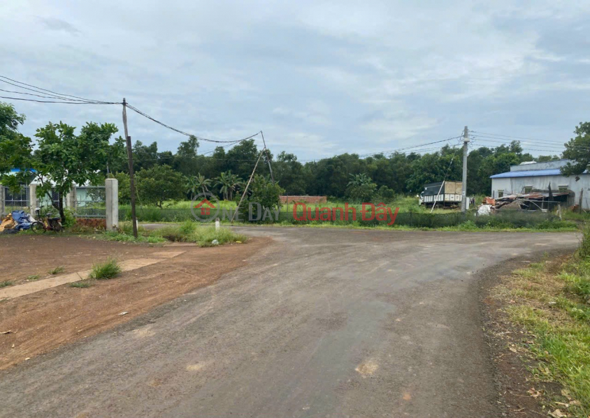 Property Search Vietnam | OneDay | Residential Sales Listings, Land plot in Binh Phuoc 5x40 price 169 million\\/lot