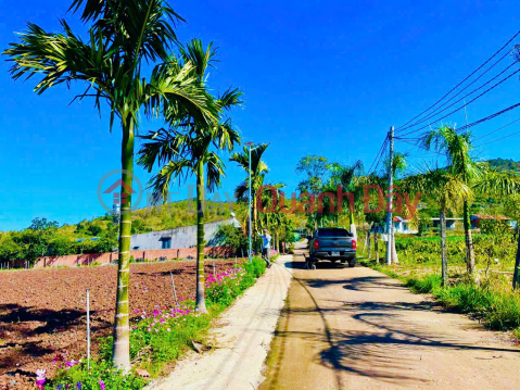 725TR - Anticipating the highway interchange - Residential land near Da Lat is now only a matter of days away. _0