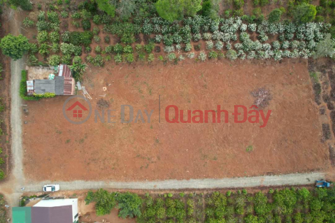 Urgent sale of full residential land plot near Bien Ho area in Pleiku _0