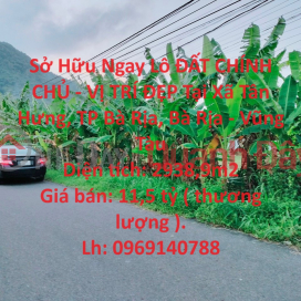 Own a Prime Land Lot - BEAUTIFUL LOCATION In Tan Hung Commune, Ba Ria City, Ba Ria - Vung Tau _0