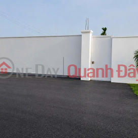 PRIME LOCATION LAND IN XUAN THOI SON – 65M FRONTAGE – RARE LARGE RESIDENTIAL PLOT _0