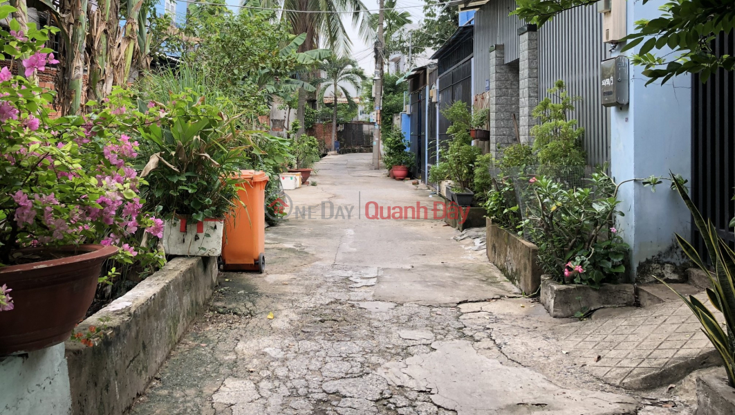 Owner - Alley Land for Sale 163 Dang Van Bi Truong Tho, VF3 Alley, Area 4.5*12m, CHEAP Price, VIP Area, Vietnam, Sales | đ 4 Billion