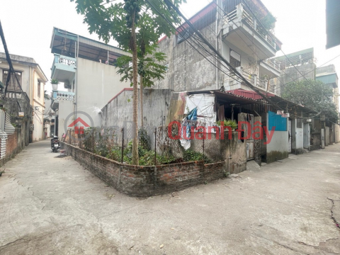 Bán đất Ngọc Thuỵ 42m lô góc oto vào chỉ 5 tỷ1. LH 0936123469 _0