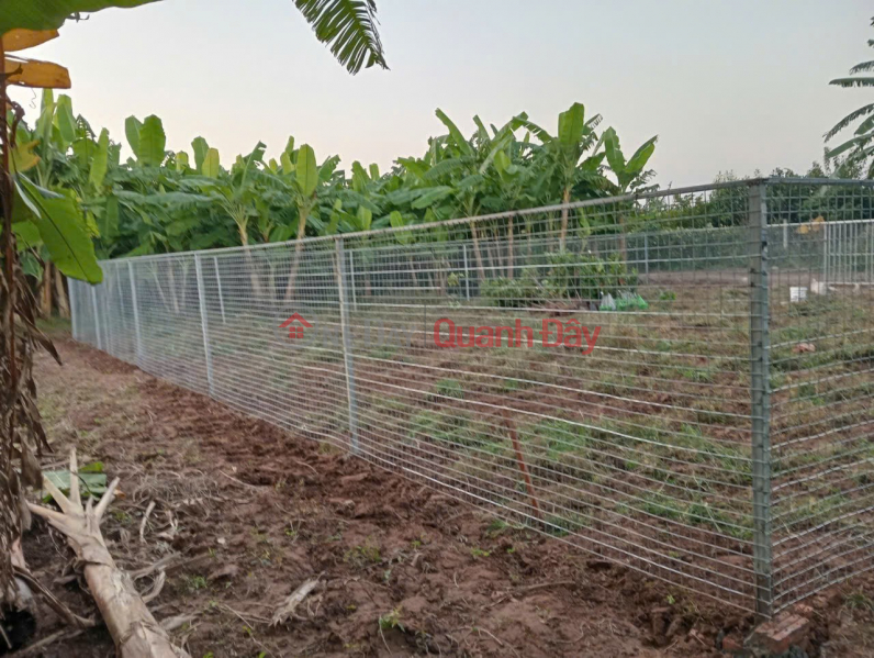 Cần Bán Nhanh Lô Đất Vị Trí Đắc Địa Tại Đồng Lư, Đồng Quang, Quốc Oai, TP Hà Nội, Việt Nam | Bán | đ 565 triệu