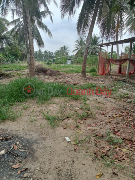 ₫ 750 Million PRIME LAND FOR OWNER - GOOD PRICE - For Quick Sale Land Lot In Phu My Commune, Mo Cay Bac, Ben Tre