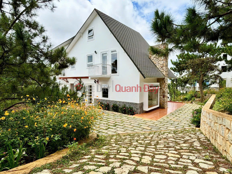 Property Search Vietnam | OneDay | Nhà ở Niêm yết bán | HOT HOT –BÁN BIỆT THỰ SONG LẬP ĐỒI THÔNG ĐÀ LẠT - 1.000M² VƯỜN RIÊNG Phường 7, TP. Đà Lạt, Lâm Đồng