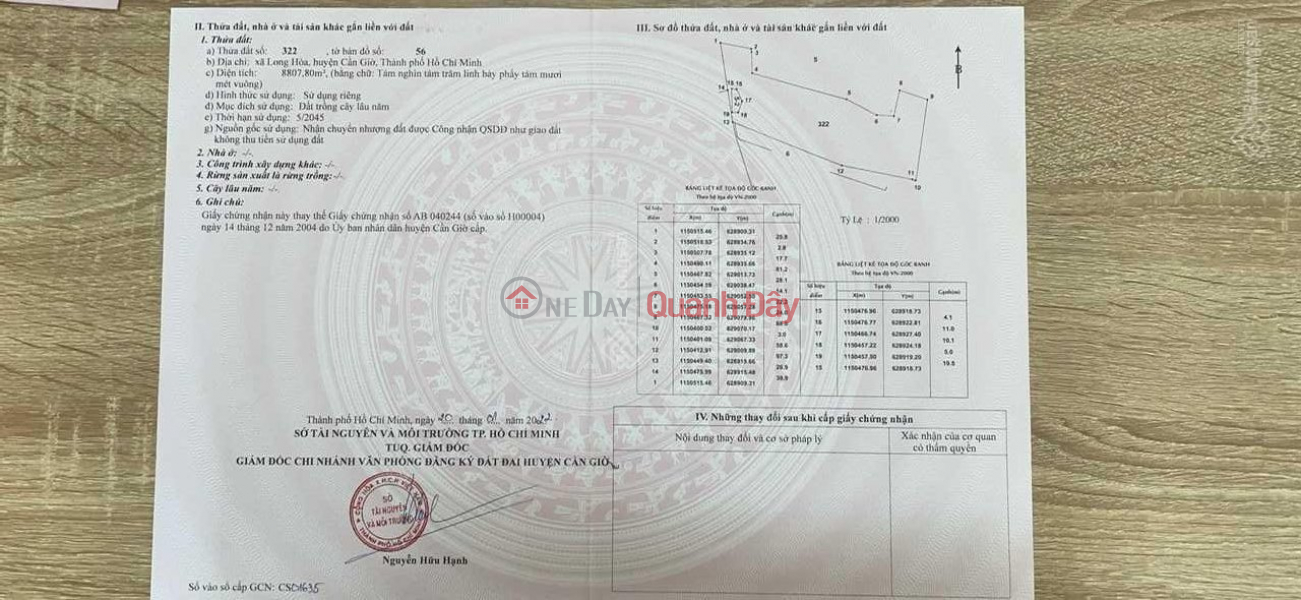 Urgent sale of land plot Long Hoa Commune - Can Gio 8808m Sales Listings