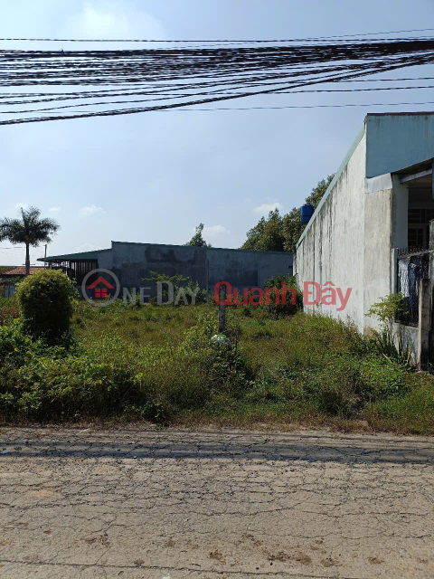 ĐẤT NỀN BIÊN HÒA CHỈ 700 TRIỆU/NỀN (full giá) – SỔ RIÊNG, BAO SANG TÊN _0