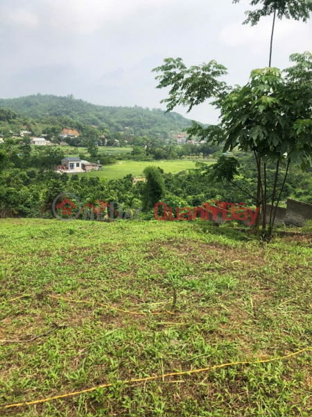 SUPER HOT RESORT LAND FOR SALE 3502M IN NAM PHUONG TIEN-CHUONG MY-HANOI Vietnam, Sales đ 10 Million