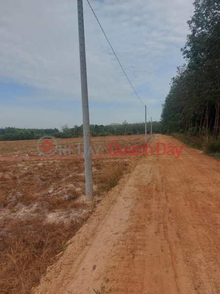 Property Search Vietnam | OneDay | Residential | Sales Listings, Beautiful Land - Good Price Need to sell quickly a beautiful plot of land in Chau Thanh district, Tay Ninh province