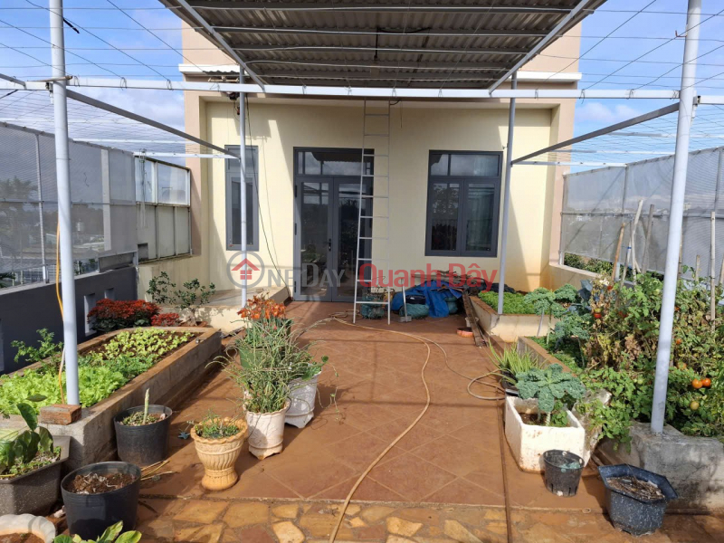 BÁN NHÀ 3 TẦNG, Chủ nhà là Kiến trúc sư tại Phường Tân Lập, TP Buôn Ma Thuột, Đắc Lắc Niêm yết bán