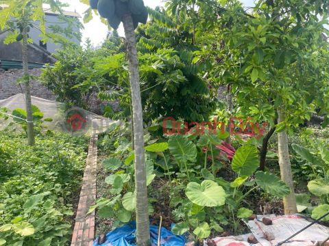 CHÍNH CHỦ CẦN BÁN 42 M2 GIAO TẤT A - THUẬN AN, GIÁ NHỈNH 2 TỶ, LIÊN HỆ 0985865658 _0