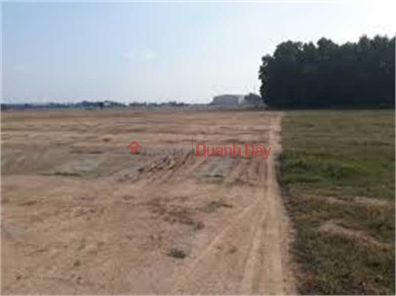 Selling 13ha of warehouse land for 50 years factory in Hung Yen Industrial Park, Hung Yen Province Vietnam | Sales | đ 120 Million