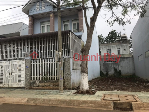 BEAUTIFUL LAND - GOOD PRICE - For Quick Sale Land Lot in Nice Location at Le Duc Tho, Lien Nghia, Duc Trong, Lam Dong _0