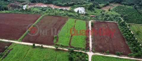 Selling garden land on Southern Pleiku Farm Price 260 million\/1000m2 _0