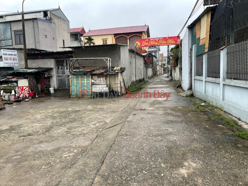 Land in Tien Hung - Nguyen Khe - Dong Anh 85m frontage 4.8m price 5.5 billion Sales Listings
