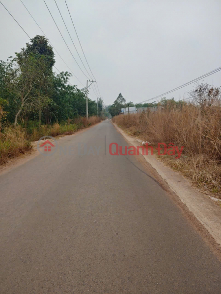 HOT HOT - OWNER URGENTLY SELLS 2 LOTS OF LAND Front of Thanh Nien Street, Thanh Tam Commune, Chon Thanh, Binh Phuoc Vietnam, Sales đ 4.4 Billion