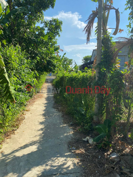 Land for sale in the center of Dien Hong commune, book ready Vietnam, Sales | đ 520 Million