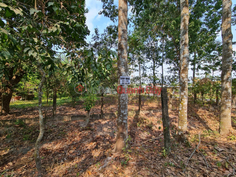 , Làm ơn chọn, , Niêm yết bán | đ 64 tỷ