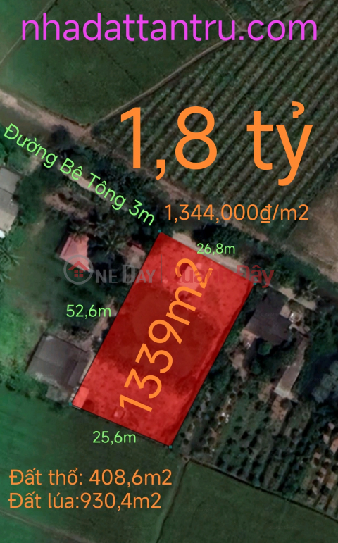 Urgent sale of rice land plot in Binh Lanh Tan Tru commune for 1.8 billion _0