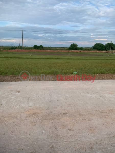 Property Search Vietnam | OneDay | Residential | Sales Listings BEAUTIFUL LAND - GOOD PRICE - Quick sale of LAND LOT in Phu Vang - Thua Thien Hue