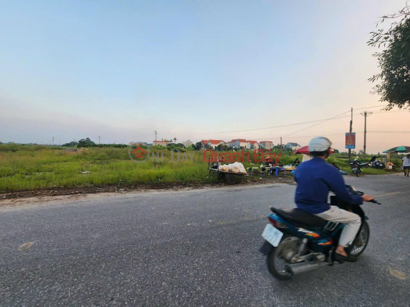 Land for sale on street 196, Dai Dong commune, Van Lam, Hung Yen Vietnam | Sales | ₫ 3 Billion