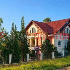 Cho thuê villla sân vườn 1000m2 Nguyễn Hữu Cảnh 12 phòng ngủ giá 48 triệu tại Đà Lạt _0