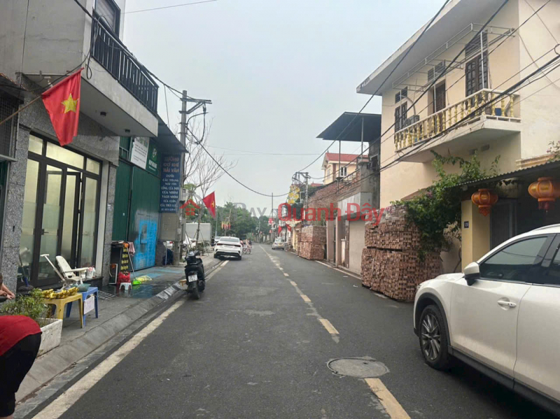 Beautiful house ready to move in - Car access, facing a park, near Nhat Tan Bridge, only 15 minutes to Hanoi city center., Vietnam | Sales đ 14 Billion