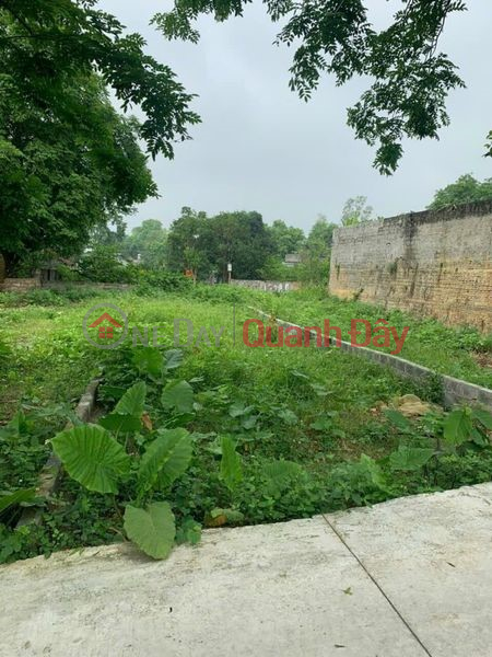 Property Search Vietnam | OneDay | Residential, Sales Listings, More than 700 million for sale 99m of land in the Southeast, Nam Phuong, near Van Son Lake, Chuong My, Hanoi, bypass truck road