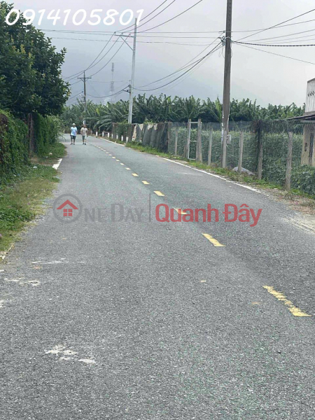 Property Search Vietnam | OneDay | Nhà ở, Niêm yết bán Bán đất thổ vườn có cây ăn trái - đất chính chủ tại Xã D\'ran, Lâm Đồng, DT 2.156m2