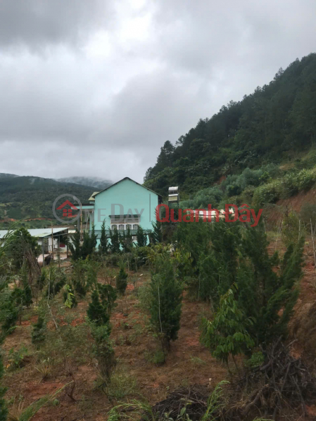 Chính chủ cần bán 1000m2 nn Tà Nung Đà Lạt - 1.3 tỷ Niêm yết bán