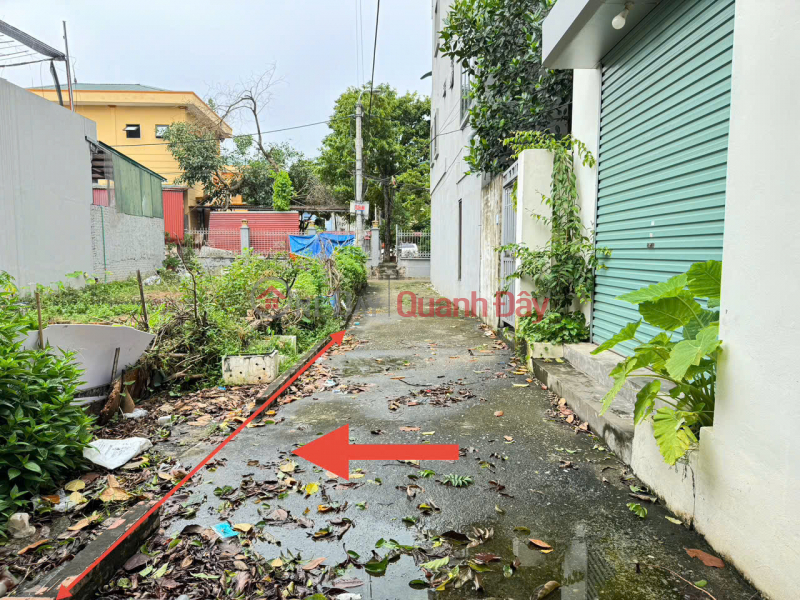 Property Search Vietnam | OneDay | Nhà ở, Niêm yết bán | Bán 61m đất thôn Gia Tân, xã Quang Minh, Mê Linh. Mặt tiền rộng, oto đỗ