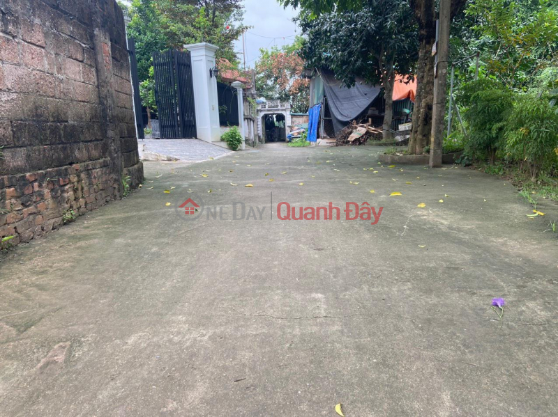 land for sale in Tien Phuong - Chuong My - 800 million - 0359994221. Sales Listings