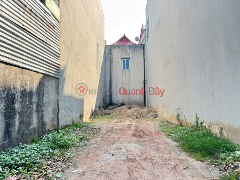 Bán Đất Thổ Cư 73m2 Thôn Trung Hậu Đoài, Tiền Phong - Ngõ Ô Tô. Gần đường quốc lộ 23 Niêm yết bán