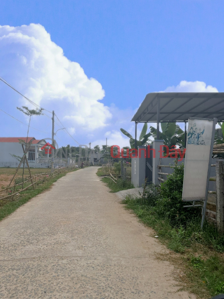 Land for sale adjacent to Hoa Tien, Hoa Vang, Da Nang Sales Listings