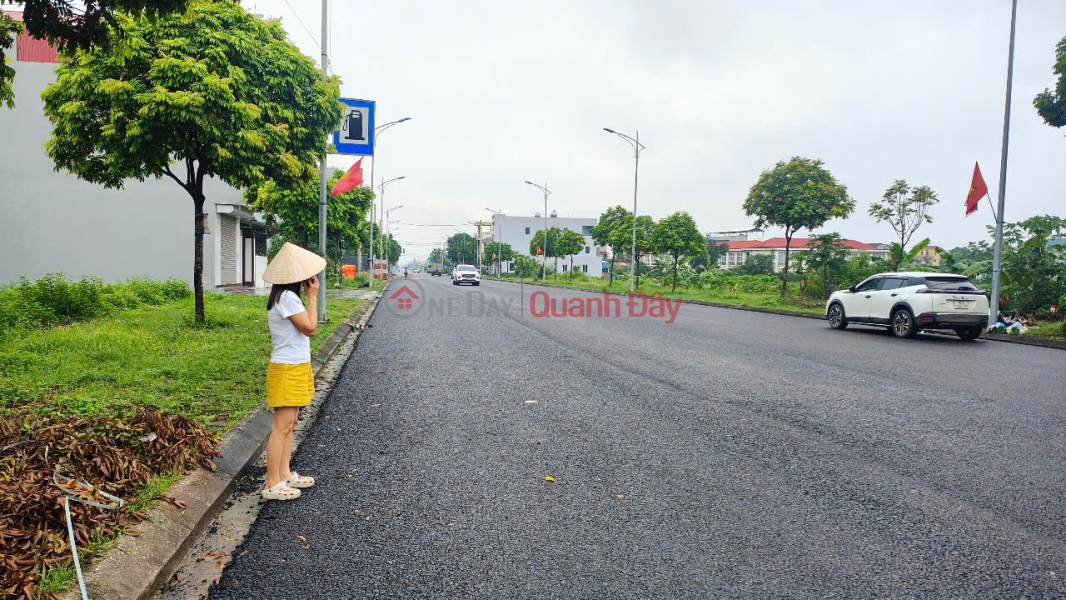 VIP land on Le Cong Thanh street, 85m2, frontage up to 6.5m Sales Listings