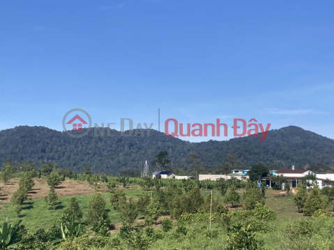 Beautiful Land - Good Price - Owner Needs to Sell Land Plot, Beautiful Location, Bla Bao Commune, Lam Dong _0