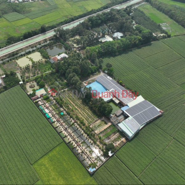 Selling a farm of 35,000m2 of industrial land near Hanoi, good investment price of 2x billion, Vietnam Sales, ₫ 25 Billion
