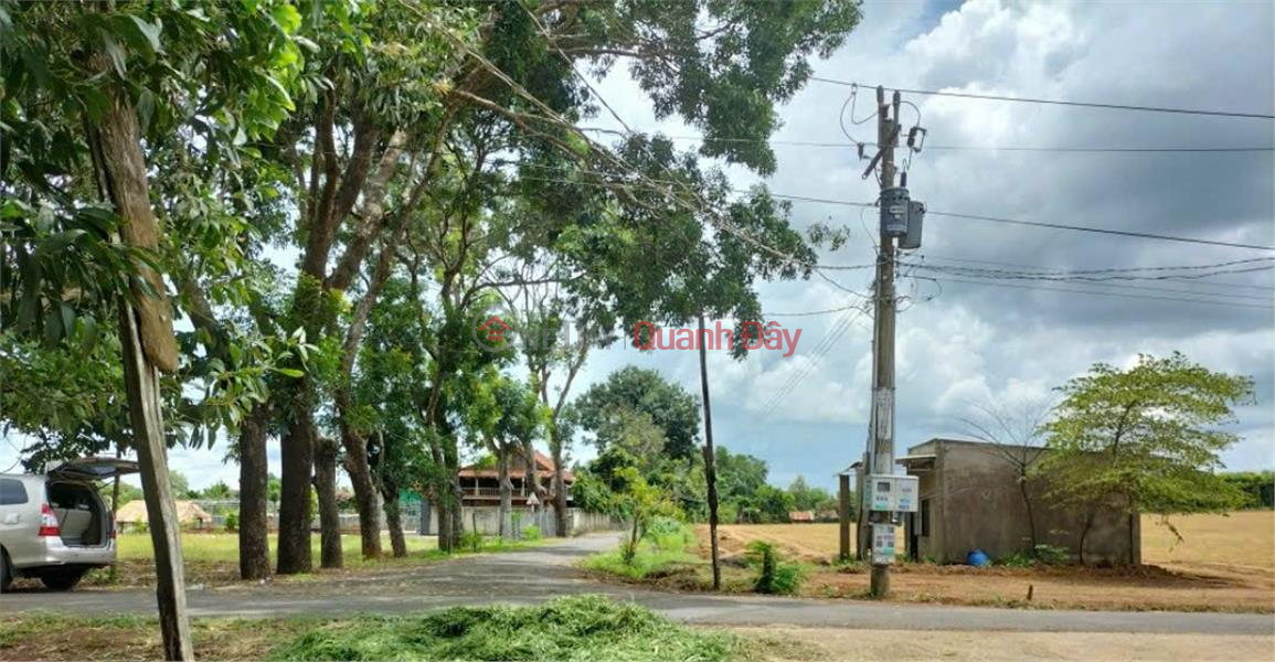 BEAUTIFUL LAND - GOOD PRICE - For Quick Sale Land Lot Prime Location In Tan Tien Commune, Dong Phu, Binh Phuoc Sales Listings