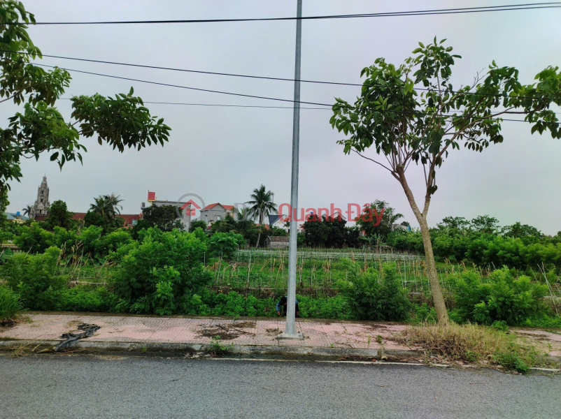Land owned by the owner - good price. Lai On Hamlet, An Quy Commune, Quynh Phu District, former Thai Binh Province. | Vietnam, Sales, đ 1.25 Billion
