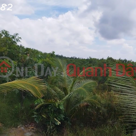 Bán Đất Vườn Cây Ăn Trái Xã Hòa Long, Đồng Tháp. DT 44000m2, SHR, Giá 22 Tỷ. _0